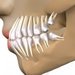 Fiziodent Implant Center - cabinet stomatologic